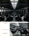 19510000 RALLI BROTHERS LIMITED 44